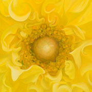 842
333mm x 333mm    2009