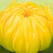 843
333mm x 333mm    2009