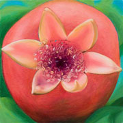 846
333mm x 333mm    2009