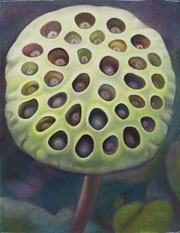 850
409mm x 318mm    2010