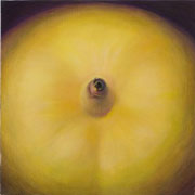 853
333mm x 333mm    2010