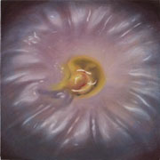 855
333mm x 333mm    2010