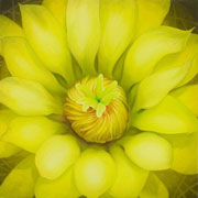 872
1167mm x 1167mm    2010