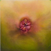 873
727mm x 727mm    2010