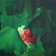 895606mm x 606mm    2011