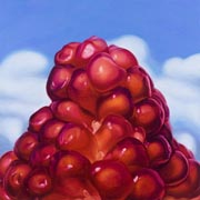 901910mm x 910mm    2011