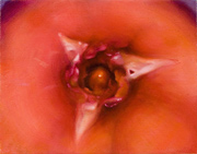 928140mm x 180mm    2012