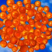 973410mm x 410mm    2014